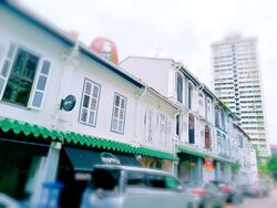 Duxton Road (D2), Shop House #560825071